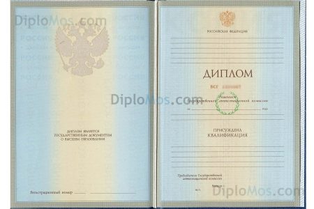 диплом института 2004-2009